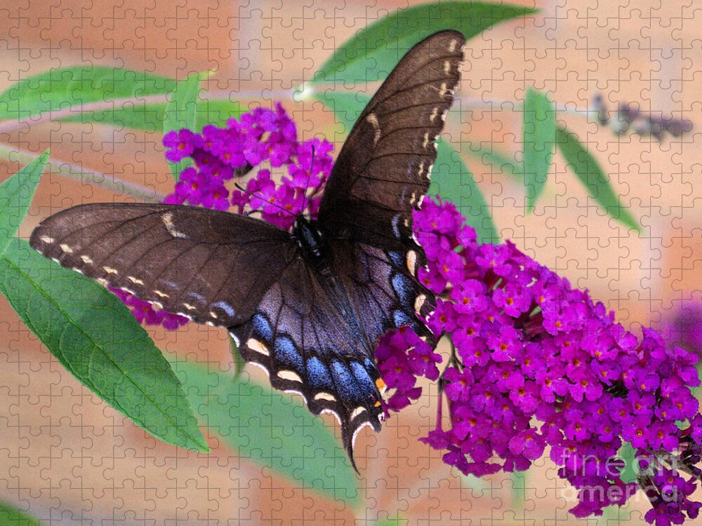 Butterfly Jigsaw Puzzle featuring the photograph Butterfly And Friend by Luther Fine Art