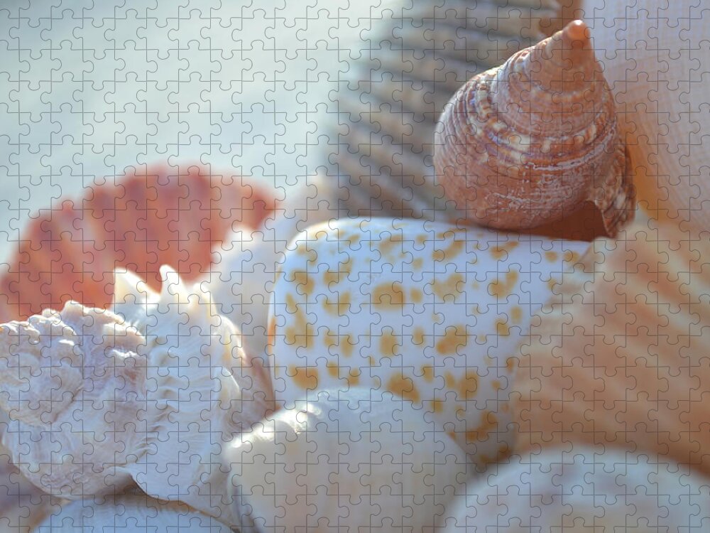 Seashells Jigsaw Puzzle featuring the photograph By The Seashore by Melanie Moraga