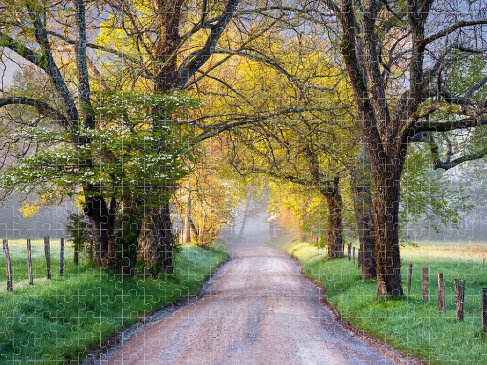 Cades Cove Jigsaw Puzzle featuring the photograph Cades Cove Great Smoky Mountains National Park - Sparks Lane by Dave Allen