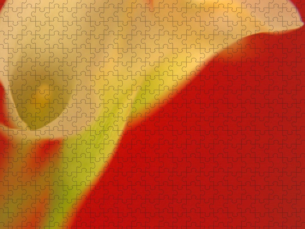 Calla Jigsaw Puzzle featuring the digital art Callas on Red by Bruce Rolff
