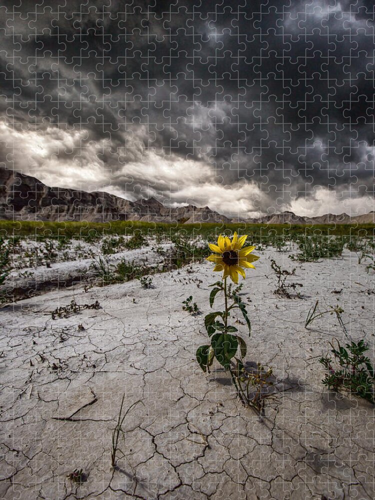 #badlands #badlands National Park #south Dakota #storm #storm Clouds #stormy #thunderstorm #wall #beauty #clouds #crack #cracked Ground #cracks #dangerous #earth #flower #ground #nature #rock Formations #rugged Terrain #severe #sky #weather #weed #yellow Jigsaw Puzzle featuring the photograph Calm Before The Storm by Aaron J Groen
