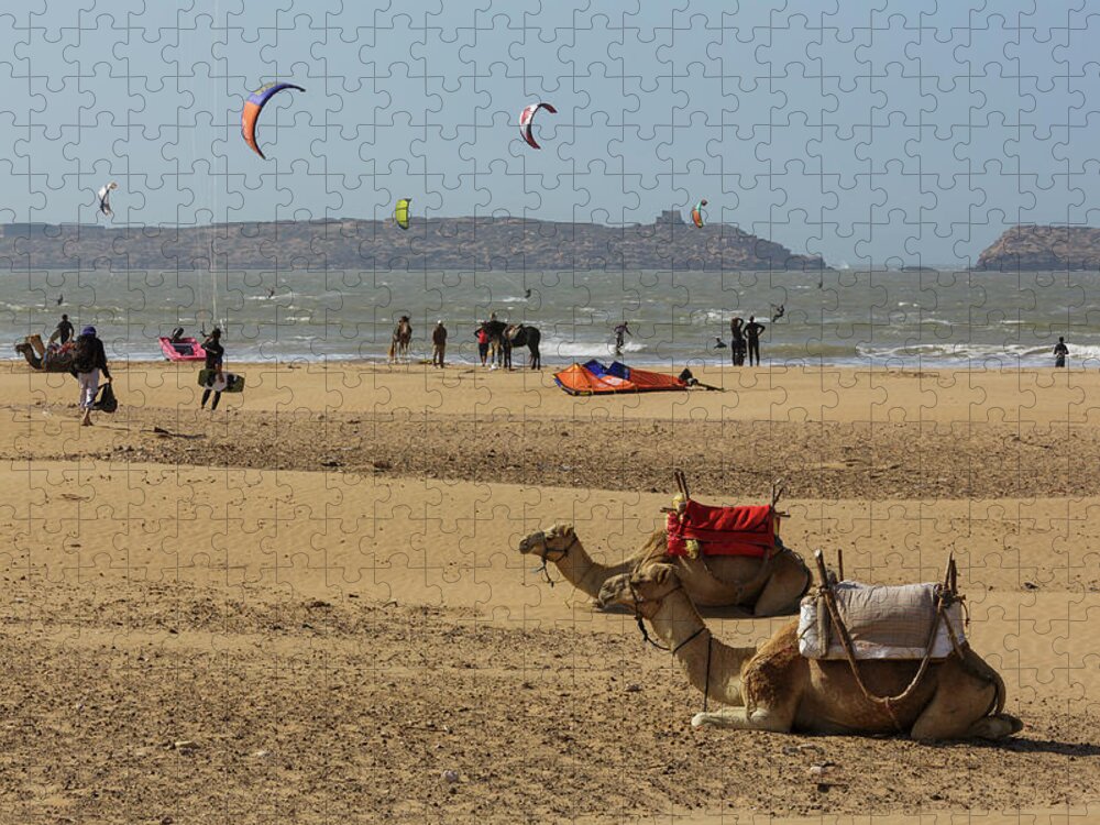 Working Animal Jigsaw Puzzle featuring the photograph Camels On The Beach In Essaouira by Gavriel Jecan