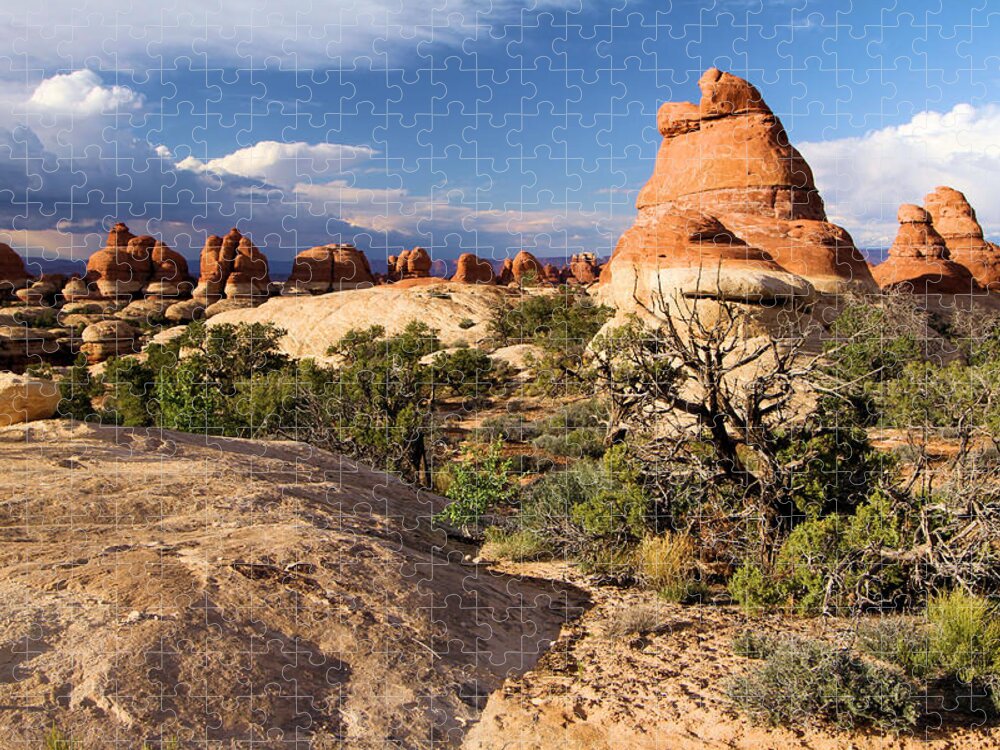 Canyonlands Jigsaw Puzzle featuring the photograph Canyonlands National Park by Adam Jewell
