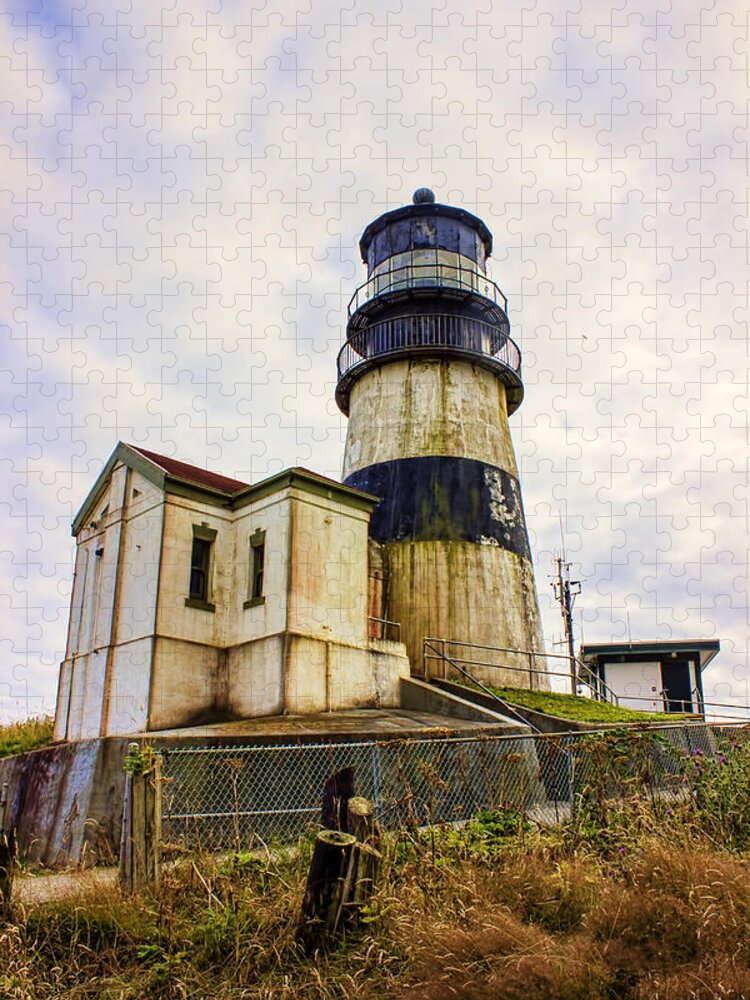 Lighthouse Jigsaw Puzzle featuring the photograph Cape Disappointment by Cathy Anderson