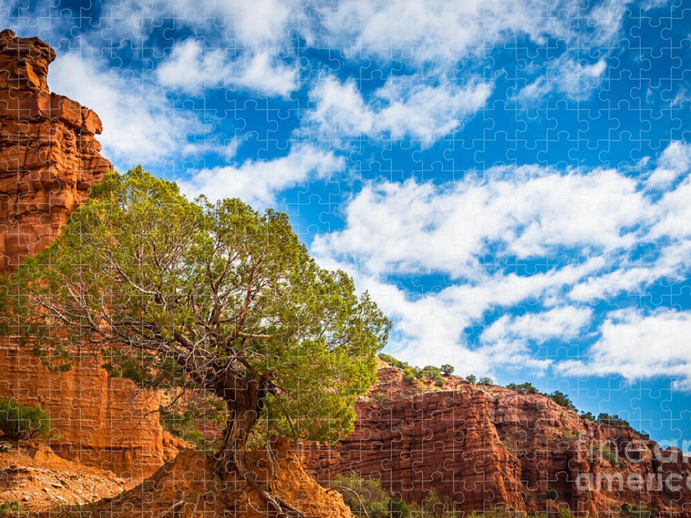 America Jigsaw Puzzle featuring the photograph Caprock Canyon Tree by Inge Johnsson
