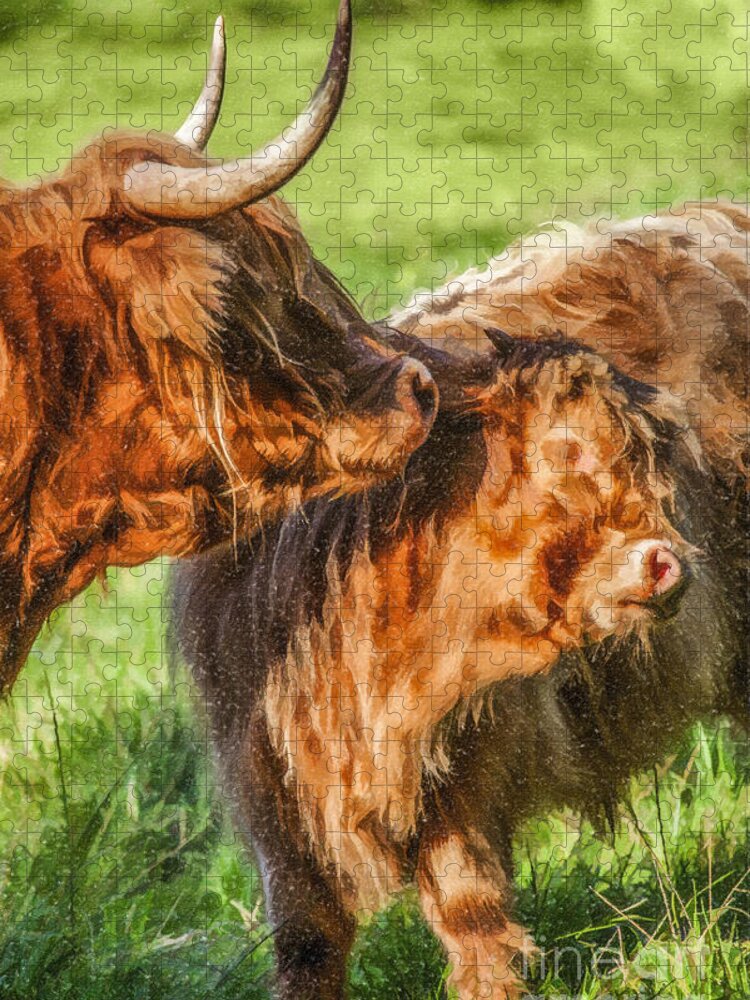 Highland Cow Jigsaw Puzzle featuring the digital art Caring Mother by Liz Leyden