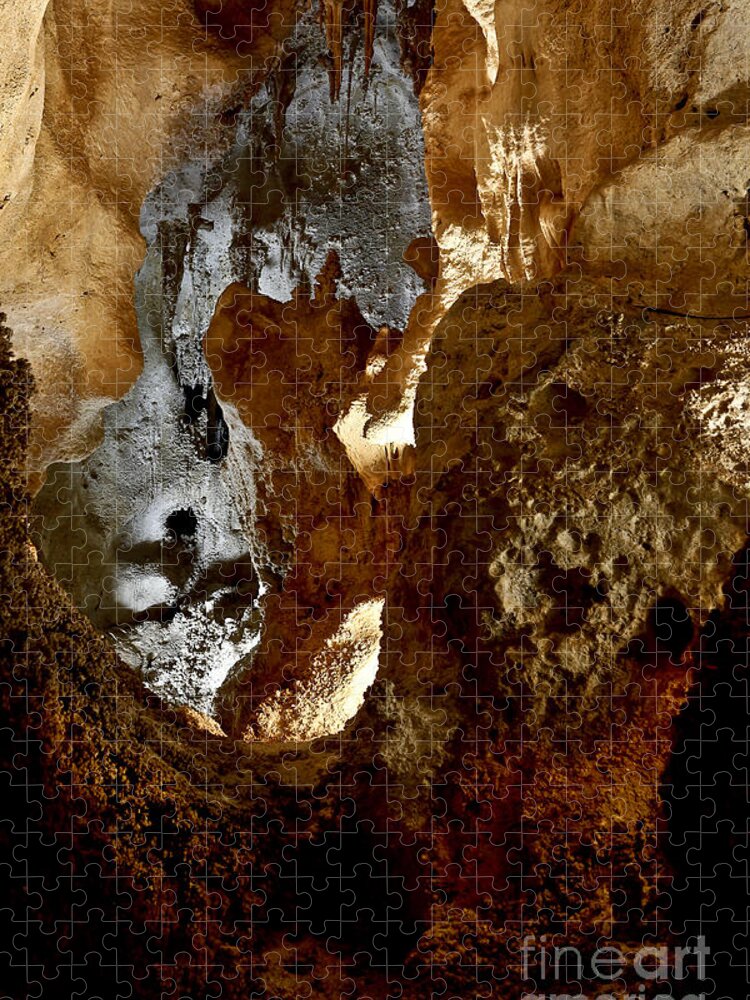 Abstracts Jigsaw Puzzle featuring the photograph Carlsbad Caverns #1 by Kathy McClure