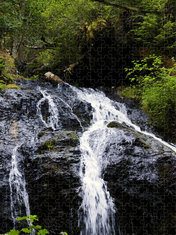 Cascade Falls Jigsaw Puzzle featuring the photograph Cascade Falls by Edward Hawkins II