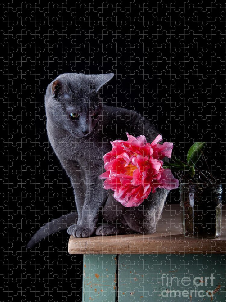 Cat Puzzle featuring the photograph Cat and Tulip by Nailia Schwarz