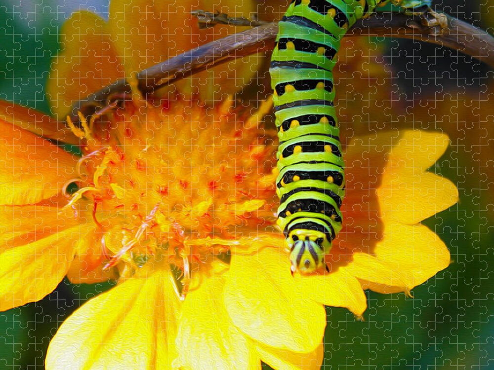 Nature Jigsaw Puzzle featuring the photograph Caterpillar On The Prowl by Nina Silver