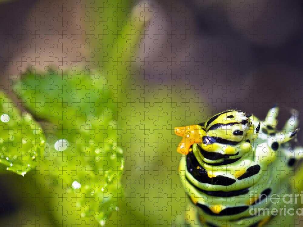 Caterpillar Jigsaw Puzzle featuring the photograph Catterpillar at work by PatriZio M Busnel