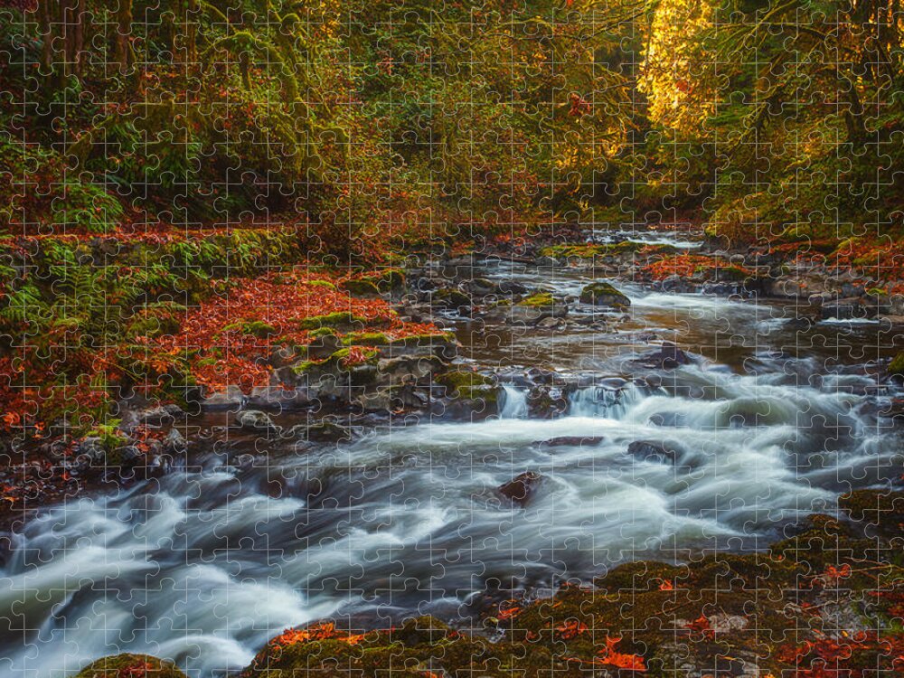 Creek Jigsaw Puzzle featuring the photograph Cedar Creek Morning by Darren White