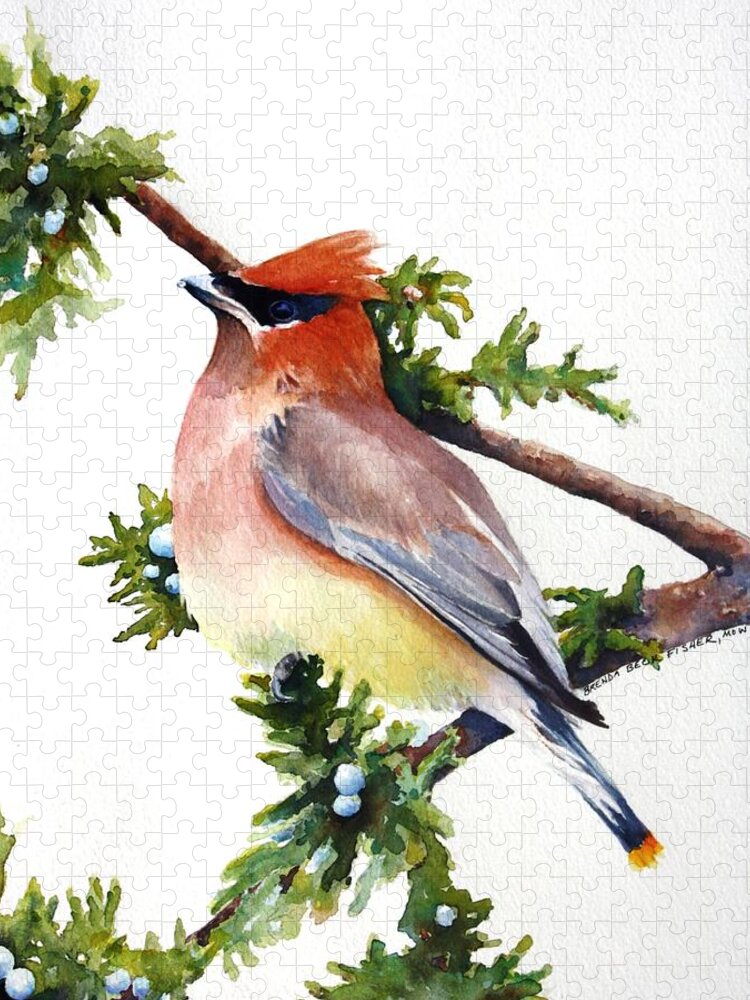 Cedar Waxwing Jigsaw Puzzle featuring the painting Cedar Waxwing by Brenda Beck Fisher