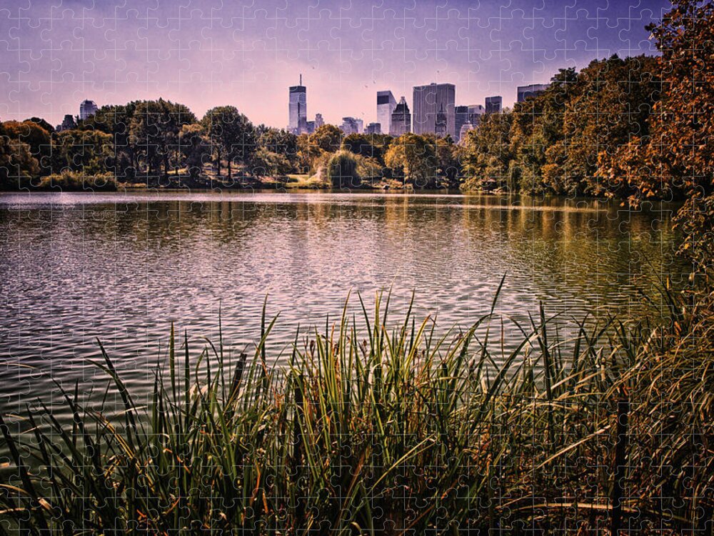 Central Park Jigsaw Puzzle featuring the photograph Central Park Scene by Madeline Ellis