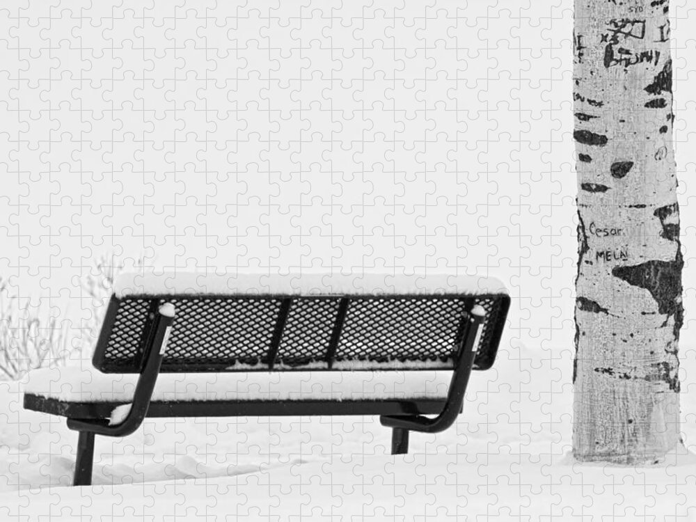 Snow Jigsaw Puzzle featuring the photograph Cesar Melai Love in The Snow BW by James BO Insogna