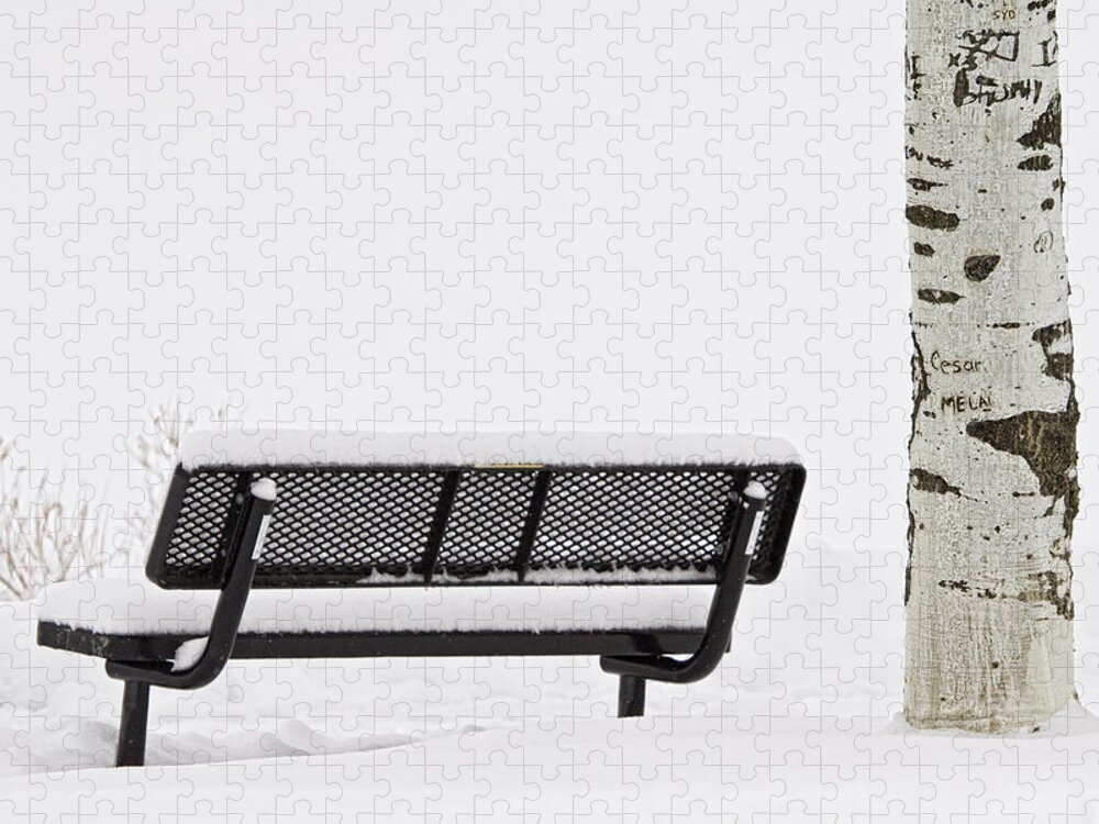 Snow Jigsaw Puzzle featuring the photograph Cesar Melai Love in The Snow by James BO Insogna