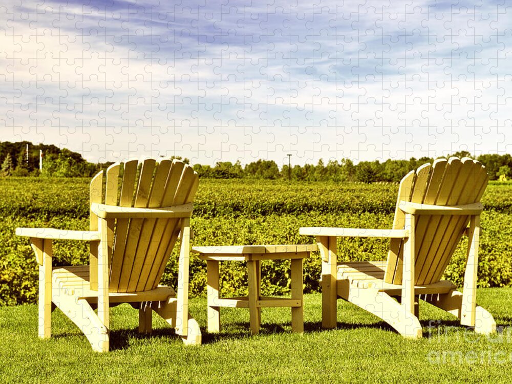 Vineyard Jigsaw Puzzle featuring the photograph Chairs overlooking vineyard by Elena Elisseeva
