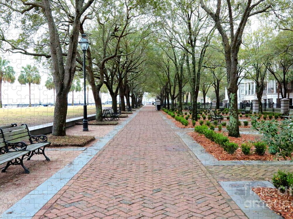 Charleston Jigsaw Puzzle featuring the photograph Charleston Waterfront Park Walkway by Carol Groenen