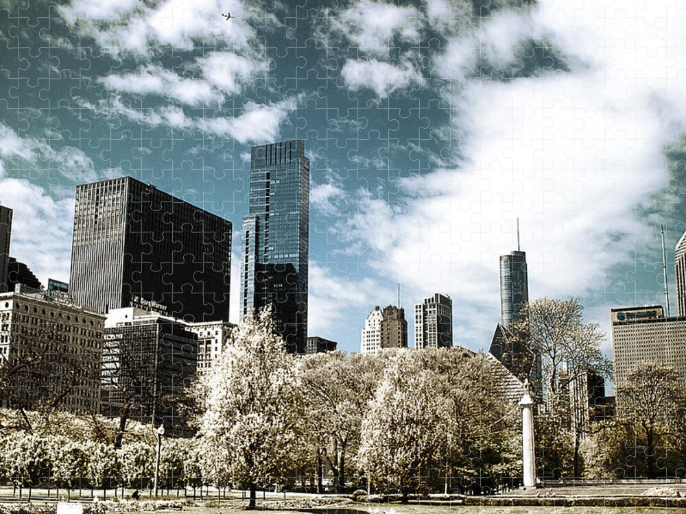 Chicago Jigsaw Puzzle featuring the photograph Chicago style by Milena Ilieva