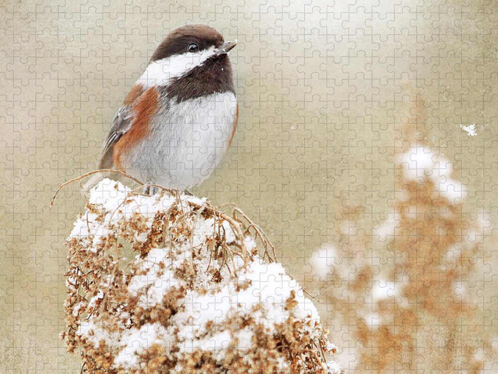 Chickadee Jigsaw Puzzle featuring the photograph Chickadee and Falling Snow by Peggy Collins