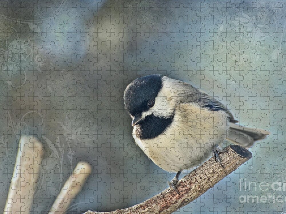 Nature Jigsaw Puzzle featuring the photograph Chickadee with texture by Debbie Portwood