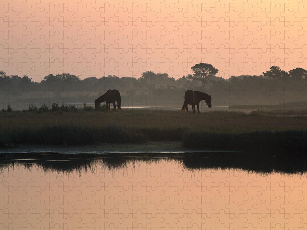 00174510 Jigsaw Puzzle featuring the photograph Chincoteague Wild Ponies by Tim Fitzharris