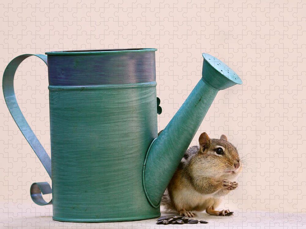 Chipmunks Jigsaw Puzzle featuring the photograph Chipmunk and Watering Can by Peggy Collins