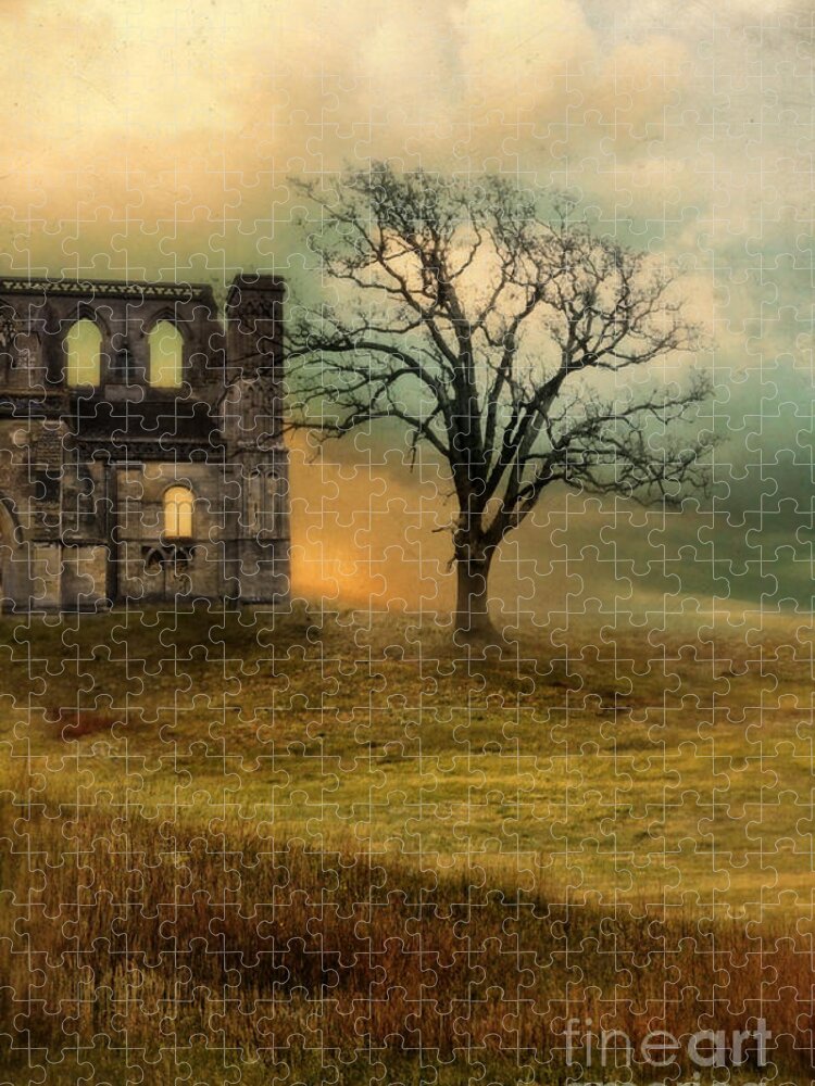 Ruin Jigsaw Puzzle featuring the photograph Church Ruin with Stormy Skies by Jill Battaglia