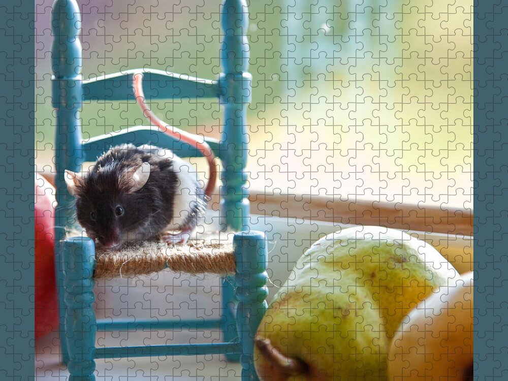 Mouse Jigsaw Puzzle featuring the photograph Clara's Favorite Chair by Theresa Tahara
