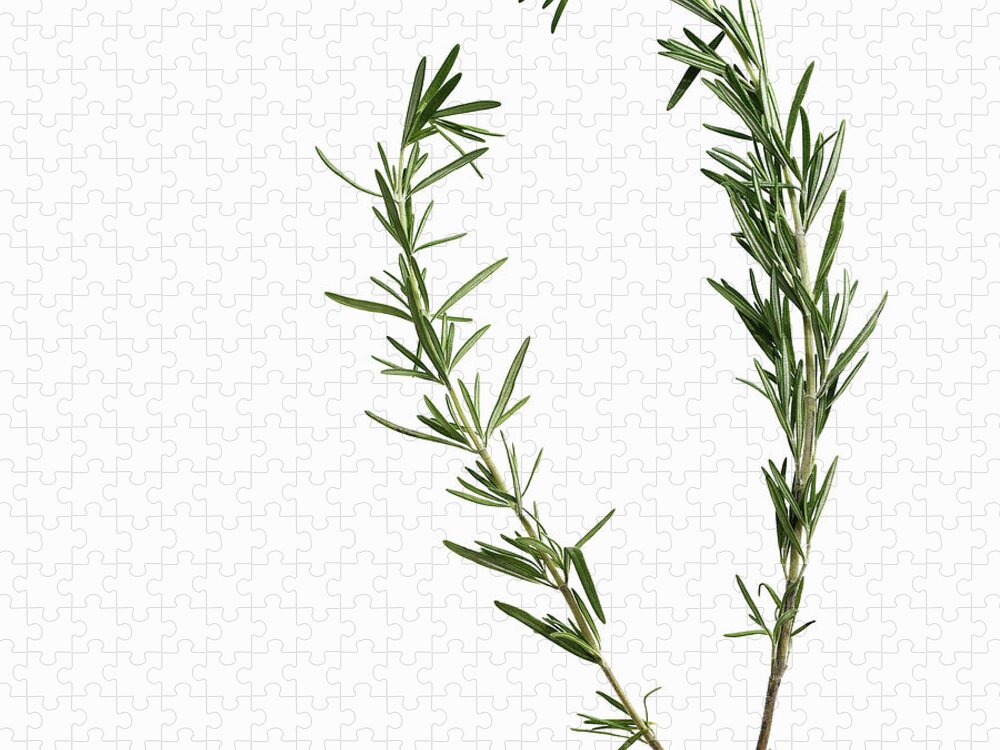 White Background Jigsaw Puzzle featuring the photograph Close Up Of Sprigs Of Herbs by Lisbeth Hjort