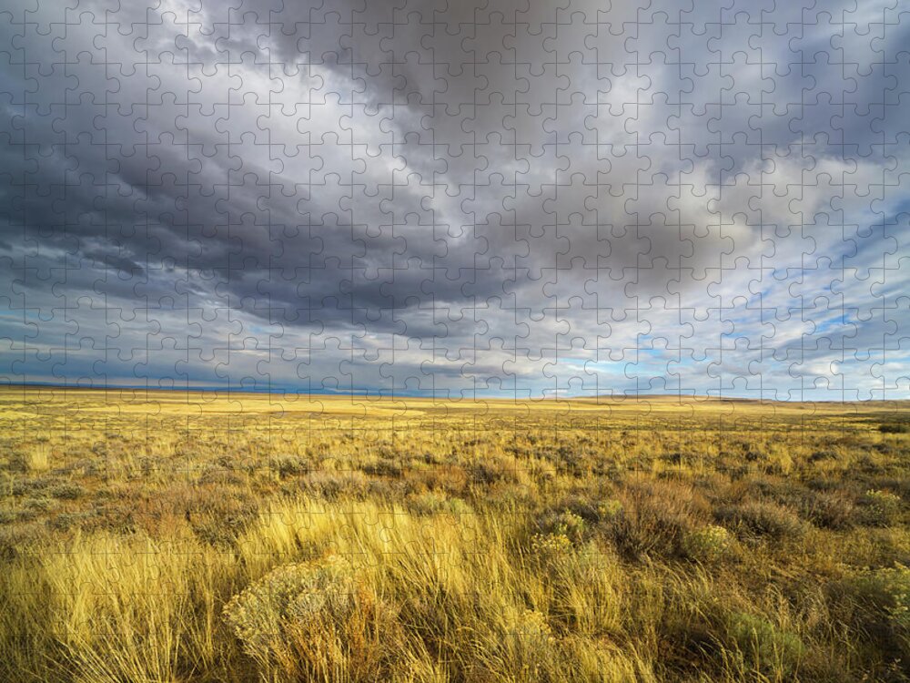 00463511 Jigsaw Puzzle featuring the photograph Clouds and Prairie Hart Mt N R by Yva Momatiuk John Eastcott