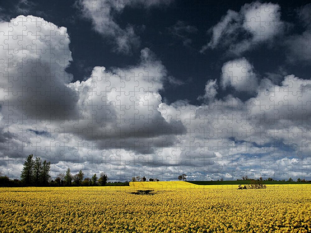 County Kildare Jigsaw Puzzle featuring the photograph Clouds Over Bright Crops Field by 2c Image