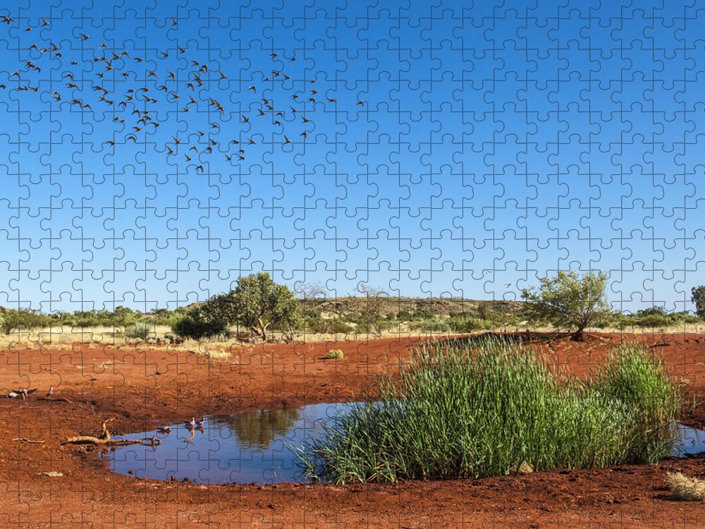 D. Parer E. Parer-cook Jigsaw Puzzle featuring the photograph Cockatiels Flying To Desert Waterhole by D. Parer & E. Parer-Cook