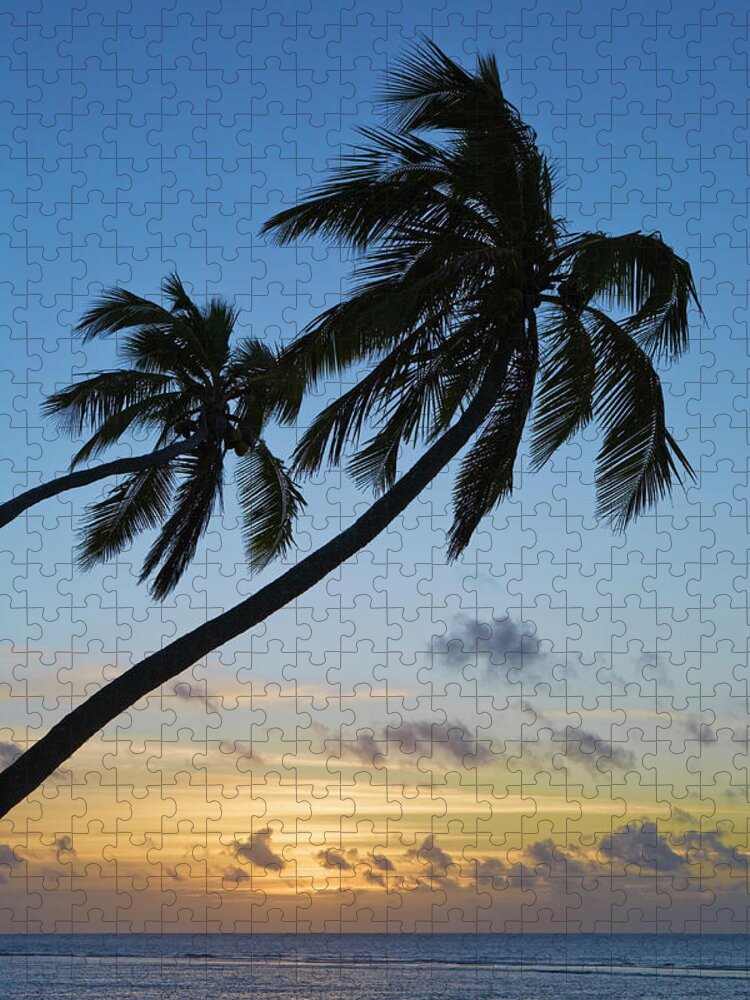 Outdoors Jigsaw Puzzle featuring the photograph Coconut Tree Silhouette On Haatafu by John W Banagan