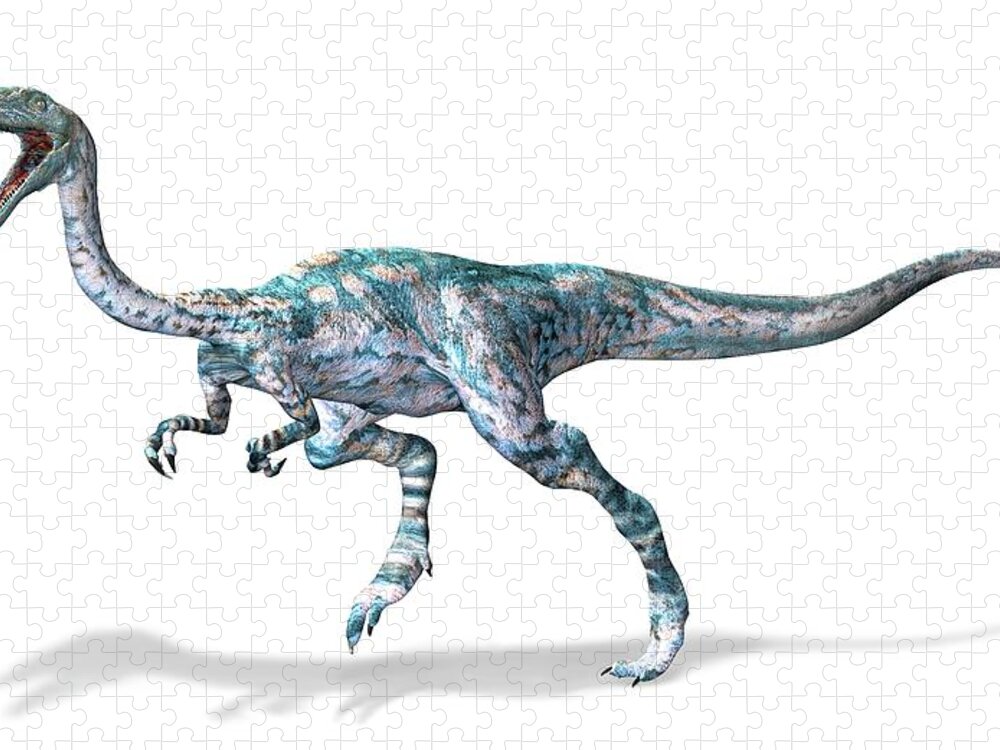 White Background Jigsaw Puzzle featuring the digital art Coelophysis Dinosaur, Artwork by Leonello Calvetti