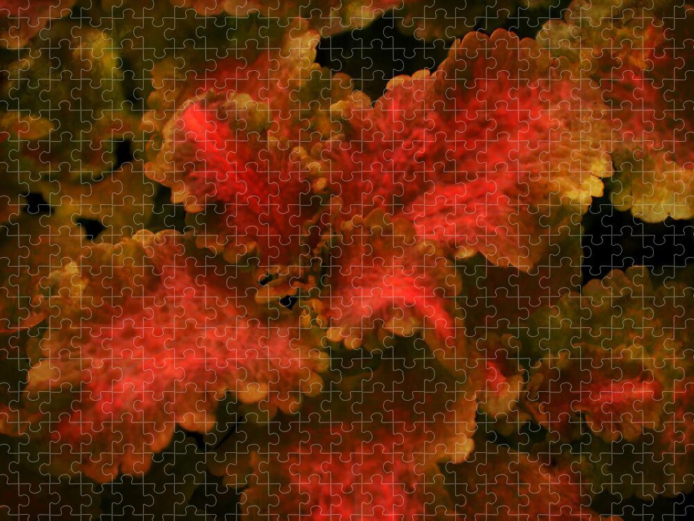 Coleus Jigsaw Puzzle featuring the photograph Coleus 3 by Deena Stoddard