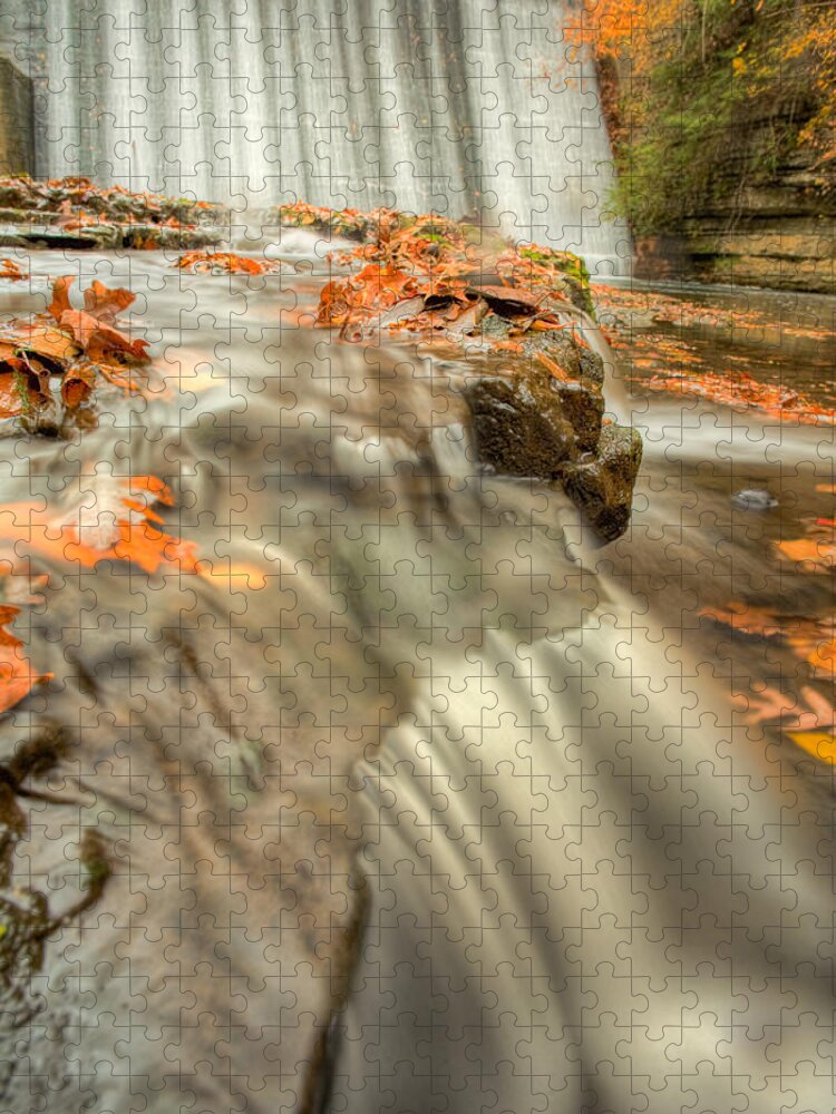 Fall Leaves Jigsaw Puzzle featuring the photograph Color of Autumn by John Magyar Photography