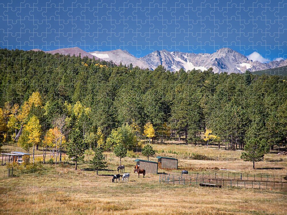 Autumn Jigsaw Puzzle featuring the photograph Colorado High Country Landscape by James BO Insogna