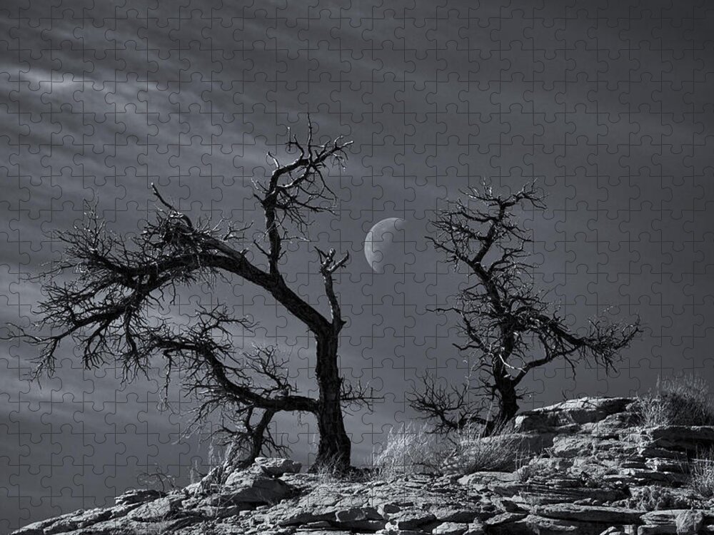Trees Jigsaw Puzzle featuring the photograph Colorado National Monument Moonrise by Darren White