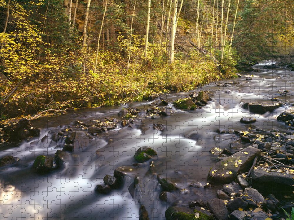 Colorado Jigsaw Puzzle featuring the photograph Colorado Stream - Fall by Harold Rau
