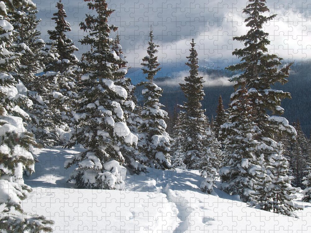 Clouds Jigsaw Puzzle featuring the photograph Colorado Winter Morning Forest with Rising Clouds by Cascade Colors