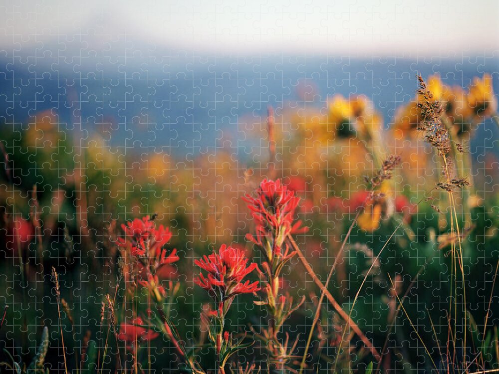 Outdoors Jigsaw Puzzle featuring the photograph Colorful Wildflowers With Mountain In by Danielle D. Hughson