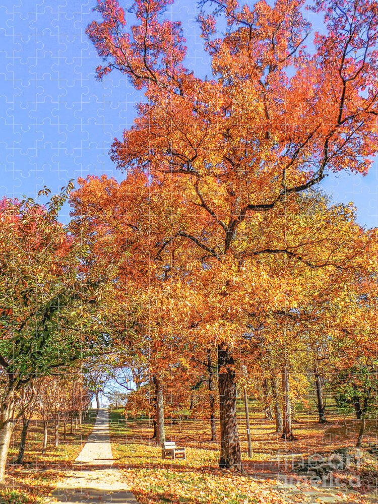 Autumn Leaves Jigsaw Puzzle featuring the photograph Colors of Fall by Charlie Cliques
