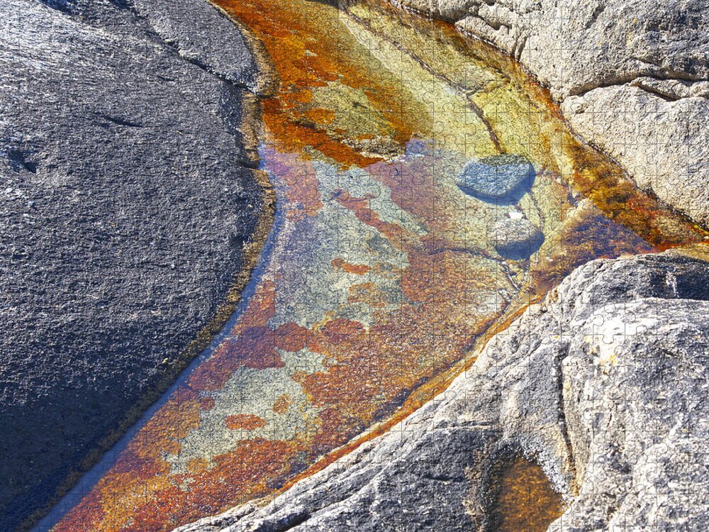 Lichen Jigsaw Puzzle featuring the photograph Colors on rock by Heiko Koehrer-Wagner