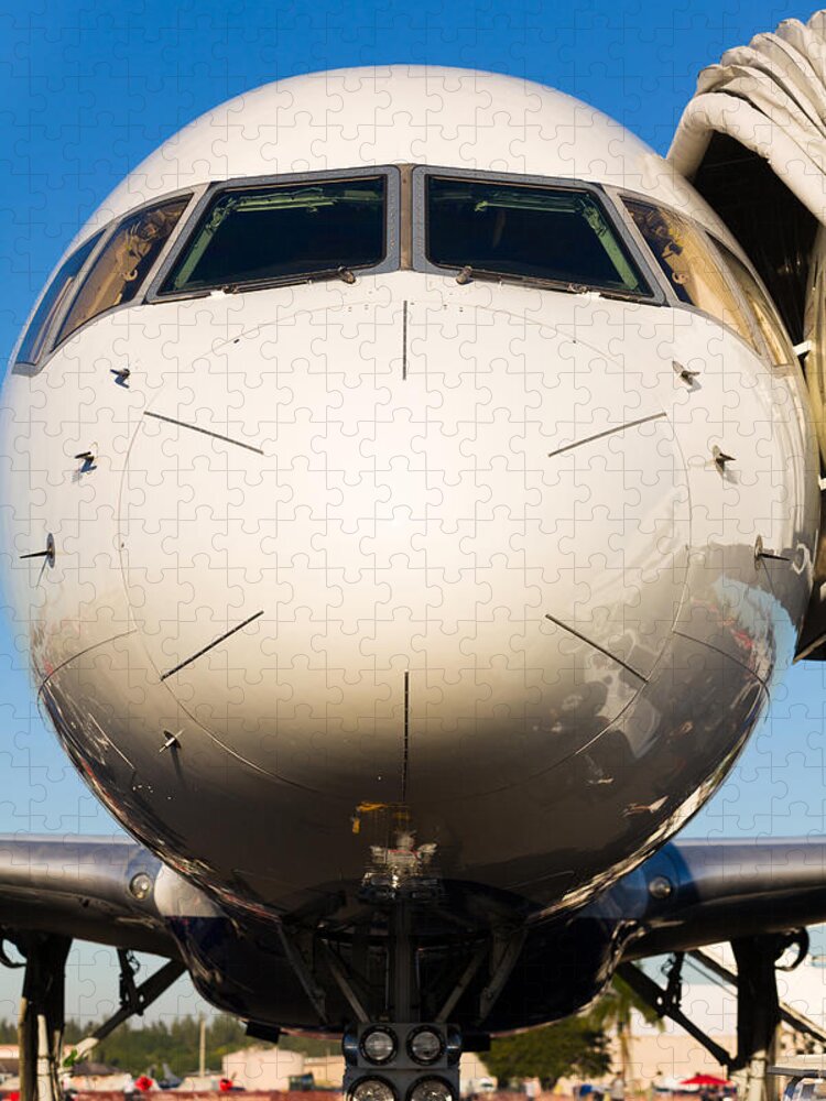 Aerospace Jigsaw Puzzle featuring the photograph Commercial Airliner by Raul Rodriguez
