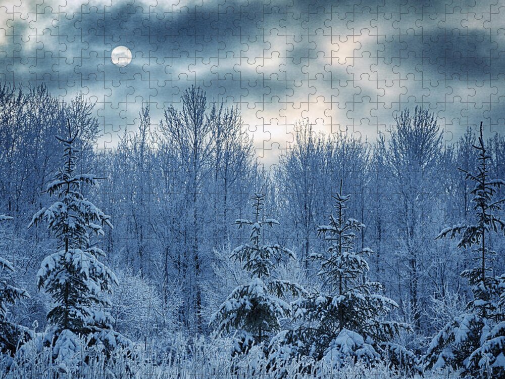Winter Jigsaw Puzzle featuring the photograph Cool Sunrise by Joan Carroll