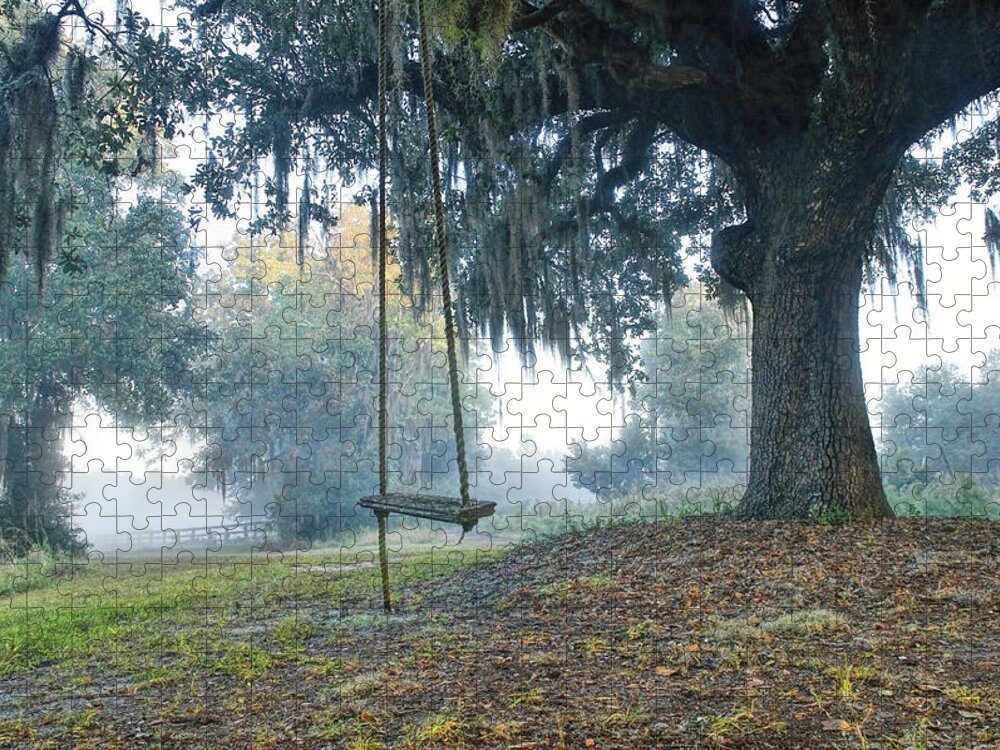 Old Tree Swing Jigsaw Puzzle featuring the photograph Coosaw Tree Swing by Scott Hansen