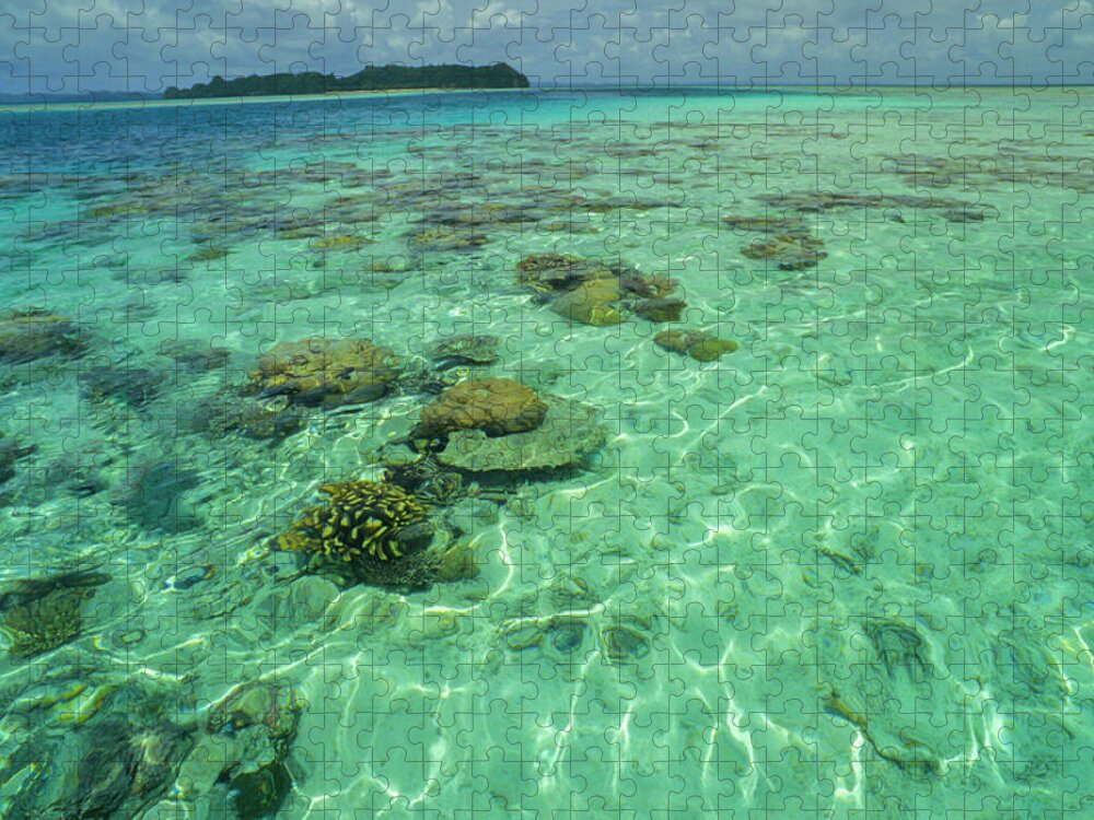 Water's Edge Jigsaw Puzzle featuring the photograph Coral Paradise by Tammy616