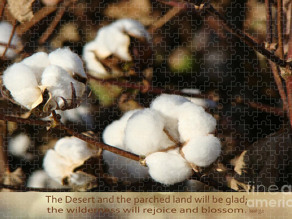 Cotton Field Jigsaw Puzzle featuring the photograph Cotton Bolls Ready for Harvest by Beverly Guilliams