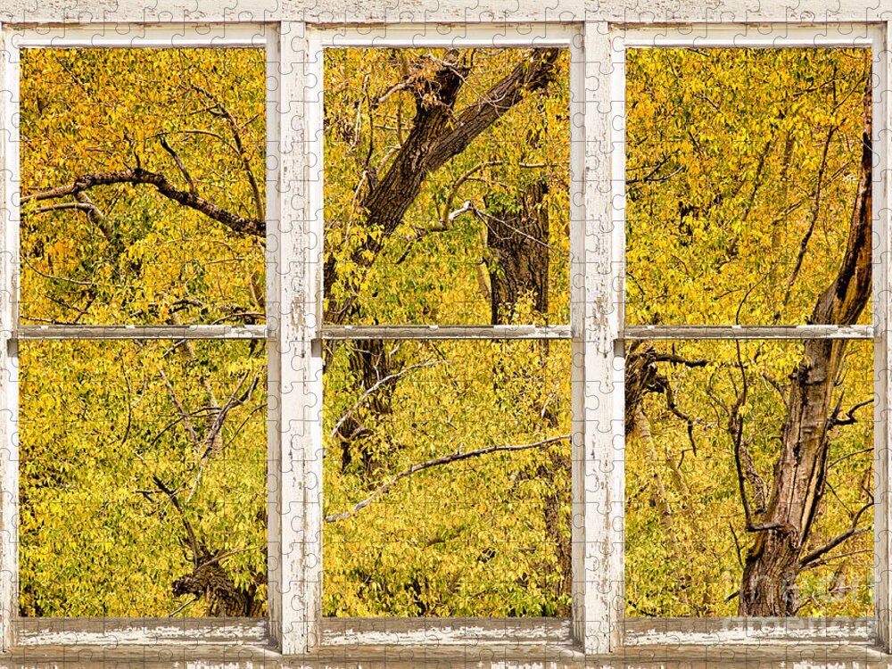 Window Jigsaw Puzzle featuring the photograph Cottonwood Fall Foliage Colors Rustic Farm Window View by James BO Insogna